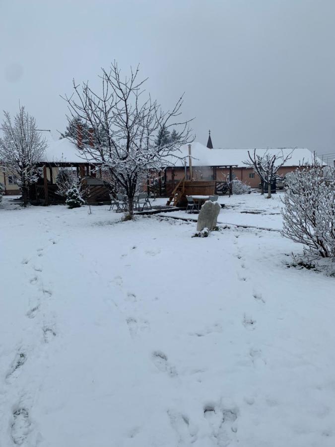 Pensiunea Marmis Riu Barbat Exterior photo
