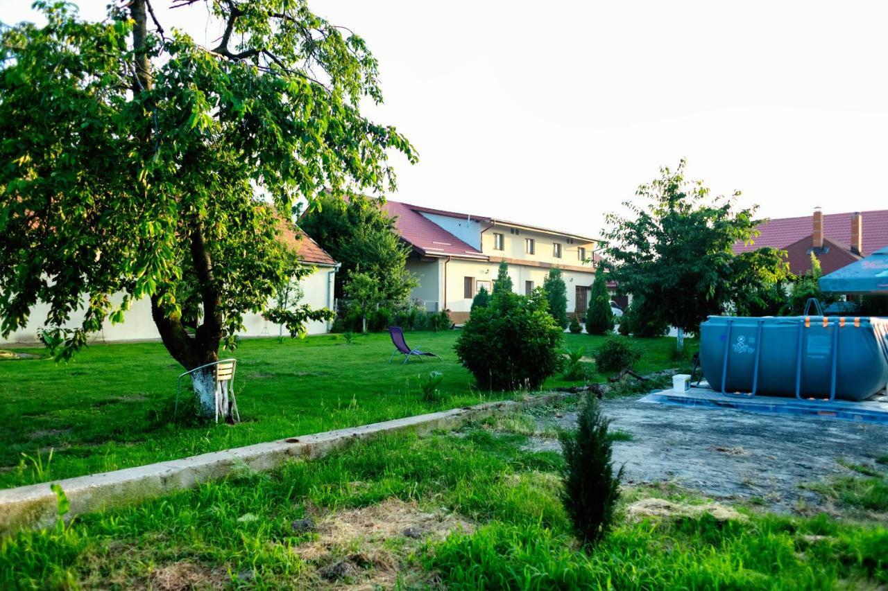 Pensiunea Marmis Riu Barbat Exterior photo